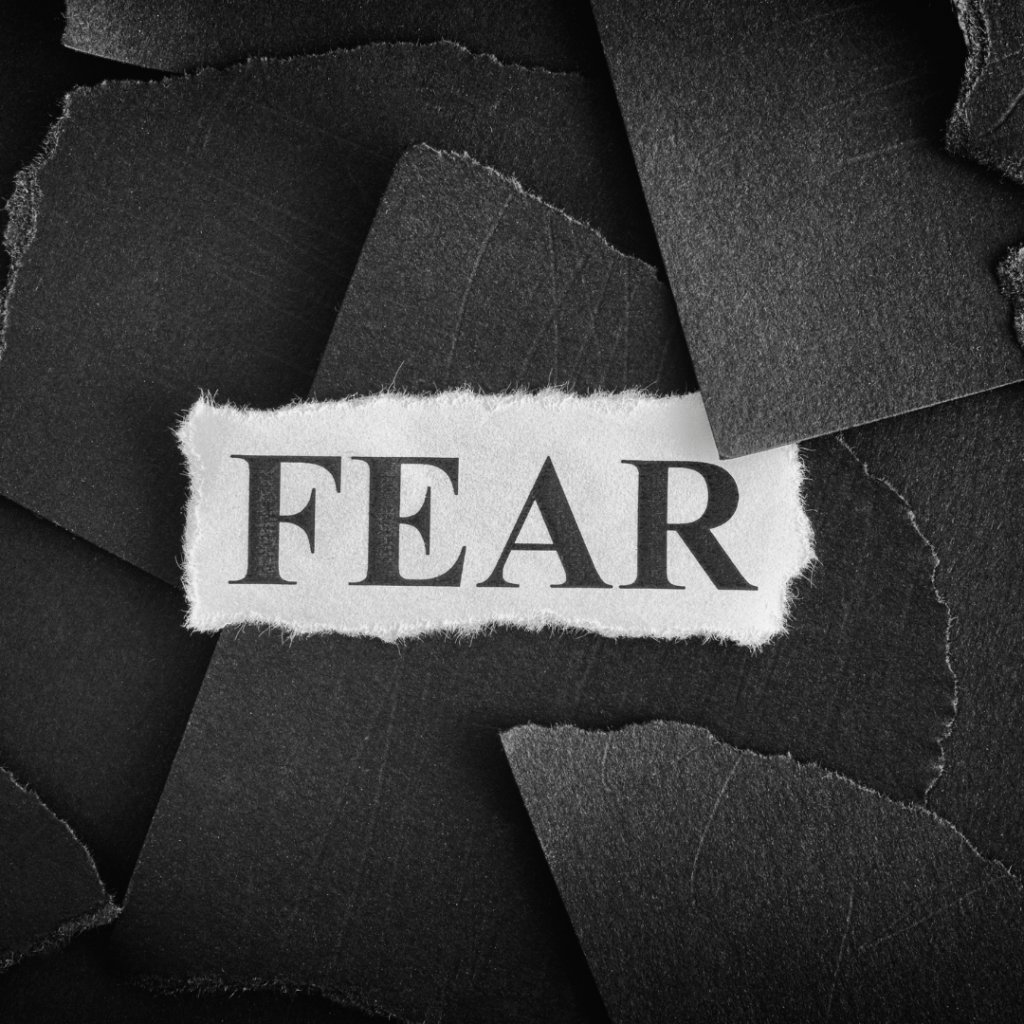 Recognizing the Fear - Finding the courage in leadership