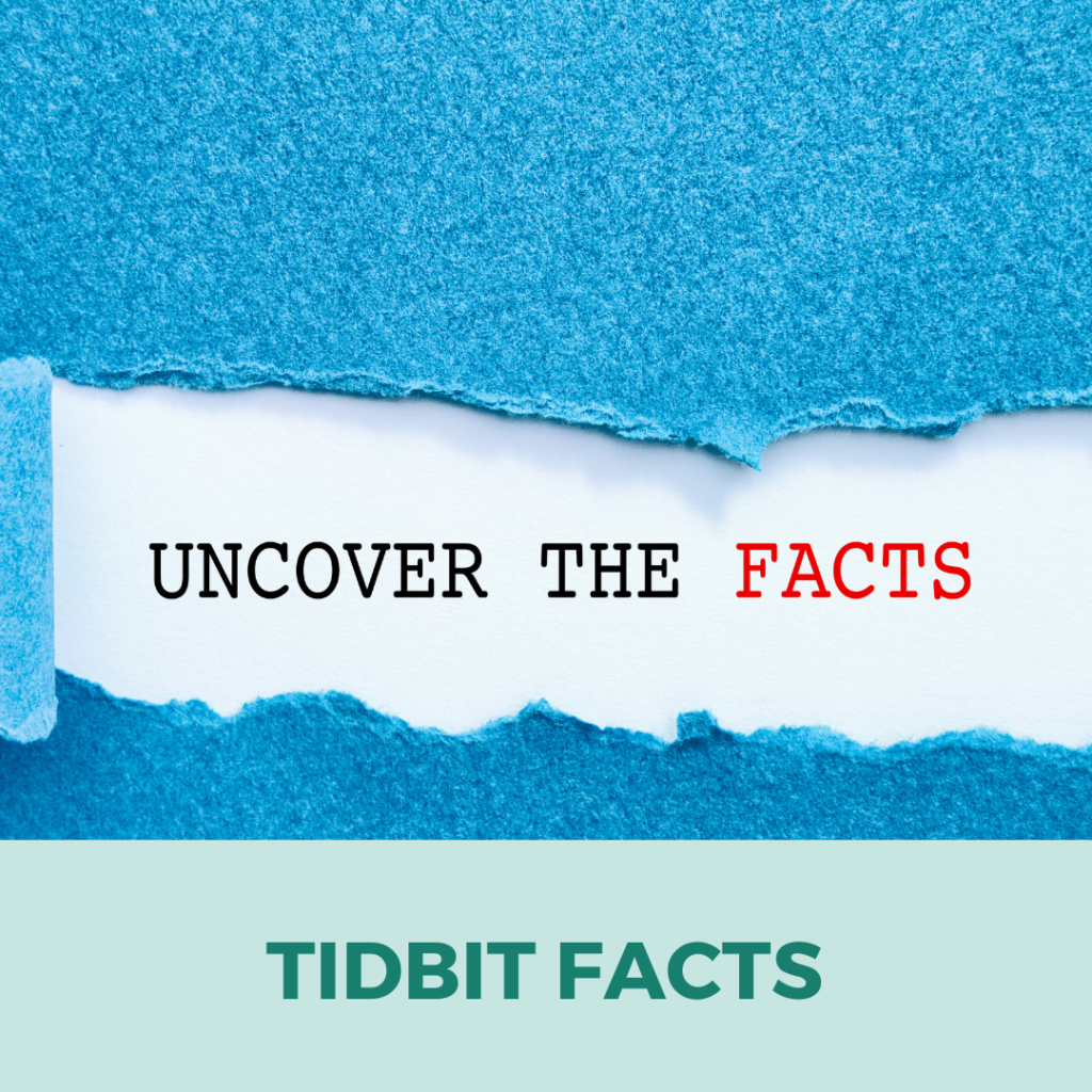 Tidbit Facts - Book Writing Framework