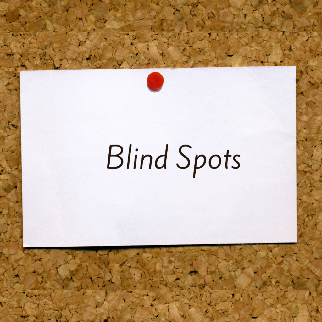 Top 10 Ideas -Blind Spots